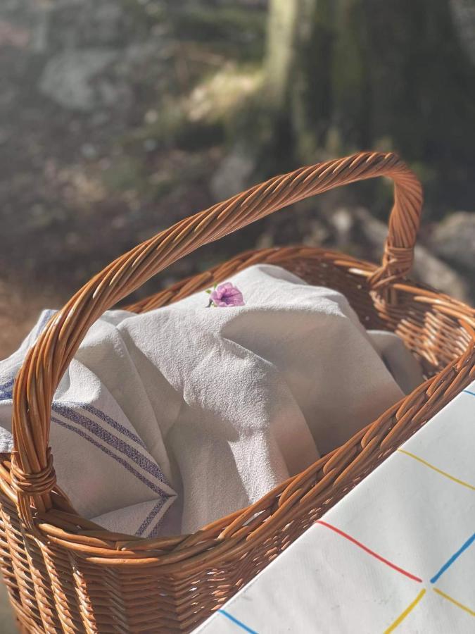 Naturglamping Kristianstad Zewnętrze zdjęcie