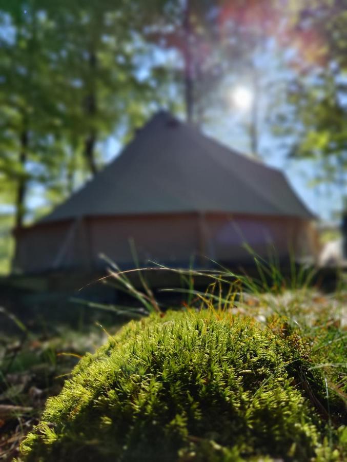 Naturglamping Kristianstad Zewnętrze zdjęcie